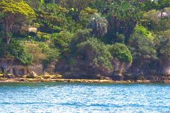 Water scenes at Sydney Cove on the ferry from Circular Quay to Manly, Sydney, Australia