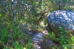 View on a hike at the North Cape near Manly in Sydney, Australia