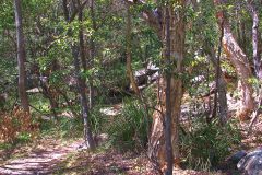 View on a hike at the North Cape near Manly in Sydney, Australia