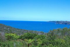 View on a hike at the North Cape near Manly in Sydney, Australia