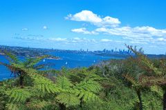 View on a hike at the North Cape near Manly in Sydney, Australia
