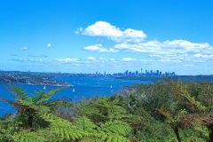 View on a hike at the North Cape near Manly in Sydney, Australia