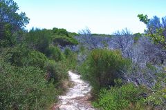 View on a hike at the North Cape near Manly in Sydney, Australia
