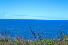 View on a hike at the North Cape near Manly in Sydney, Australia