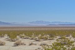 Landscape in the Joshua Tree National Park, California, USA