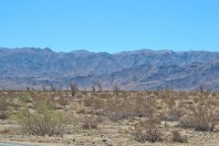 Landscape in the Joshua Tree National Park, California, USA