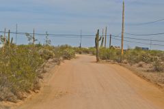 Landscape near Phoenix, Arizona, USA