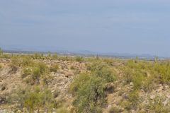 Landscape in the White Tank Mountain Regional Park near Phoenix, Arizona, USA