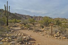 Landscape in the White Tank Mountain Regional Park near Phoenix, Arizona, USA
