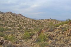 Landscape in the White Tank Mountain Regional Park near Phoenix, Arizona, USA