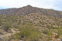 Landscape in the White Tank Mountain Regional Park near Phoenix, Arizona, USA