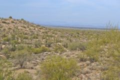 Landscape in the White Tank Mountain Regional Park near Phoenix, Arizona, USA