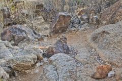 Landscape in the White Tank Mountain Regional Park near Phoenix, Arizona, USA