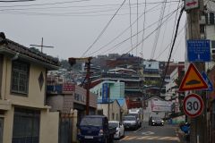 1_DSC_1775