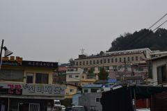 1_DSC_1781