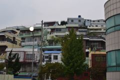 1_DSC_1786