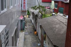 1_DSC_1791
