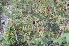 1_IMG_20181017_160112_HDR