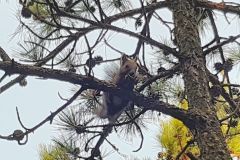 1_IMG_20181017_163543_HDR