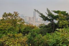 1_IMG_20181017_164110_HDR