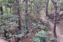 1_IMG_20181017_165735_HDR