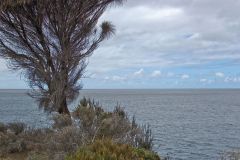 Ocean view at Tasman Arch in Tasmania on Tasman Peninsula.
