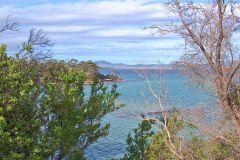 Ocean view from Coal Mine Historic Site  on Tasman Peninsula Tasmania.