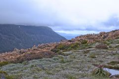 Landscape on Rodway Range in Mount Field National Park Tasmania