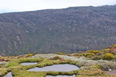 Landscape on Rodway Range in Mount Field National Park Tasmania