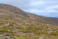 Landscape on Rodway Range in Mount Field National Park Tasmania