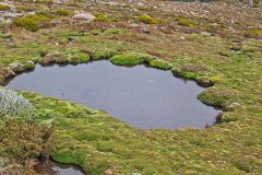 Small lake on Rodway Range in Mount Field National Park Tasmania
