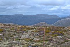 Landscape on Rodway Range in Mount Field National Park Tasmania