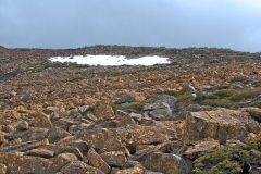 Snow on Rodway Range in Mount Field National Park Tasmania