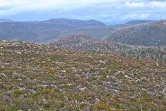 Landscape on Rodway Range in Mount Field National Park Tasmania