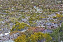 Landscape on Rodway Range in Mount Field National Park Tasmania