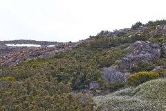 Landscape on Rodway Range in Mount Field National Park Tasmania