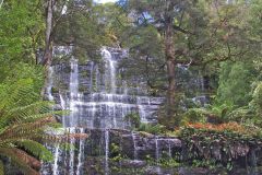 Russel falls water fall in Mount Field National Park Tasmania