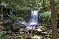 Water fall in Mount Field National Park Tasmania