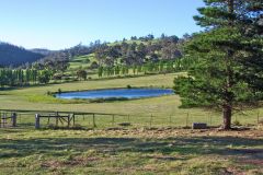 A lake at Heimat Chalets New Norfolk in Tasmania