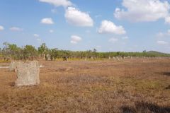 Flat ant hills in Litchfield National Park Northern Territory Australia
