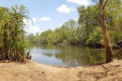 A river in Litchfield National Park Northern Territory in Australia 2019