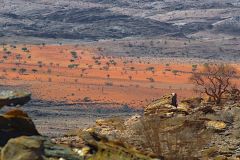 Desert landscape at Valley of a Thousand Hills campsite in Namibia