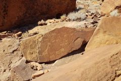 Lion plate with Lion Man rovk engravings at Twyfelfontain Namibia