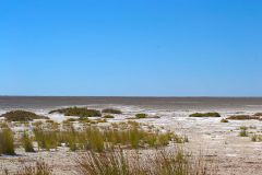 Salt pan in Etosha National Park Namibia
