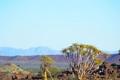 Quiver tree landscape at Mesosaurus Fossils camp site Namibia