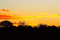 Sunset in the Kalahari Desert in Namibia