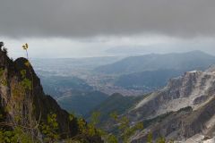 1_DSC_7769