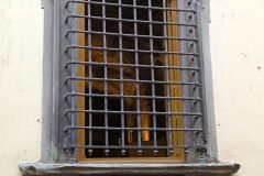 2_DSC_7555