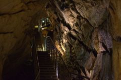 DSC_7286-1