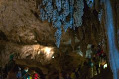 DSC_7399-1